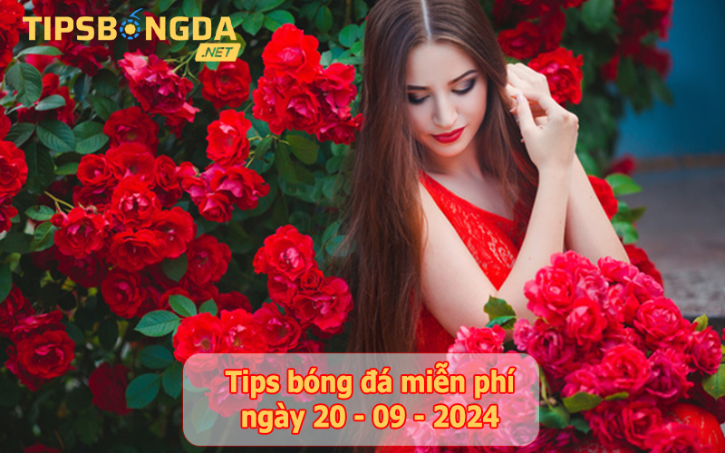 Tips bóng đá ngày 20-9-2024