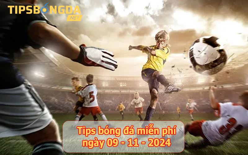 Tip bóng đá ngày 09-11-2024