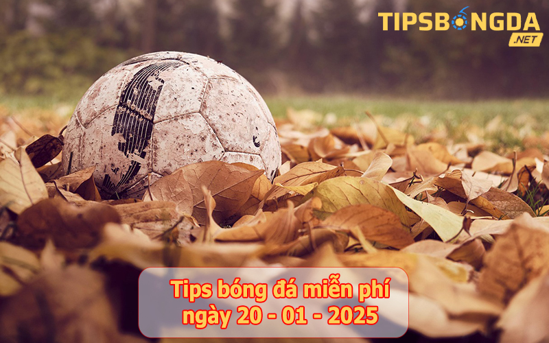 Tip bóng đá ngày 20-01-2025